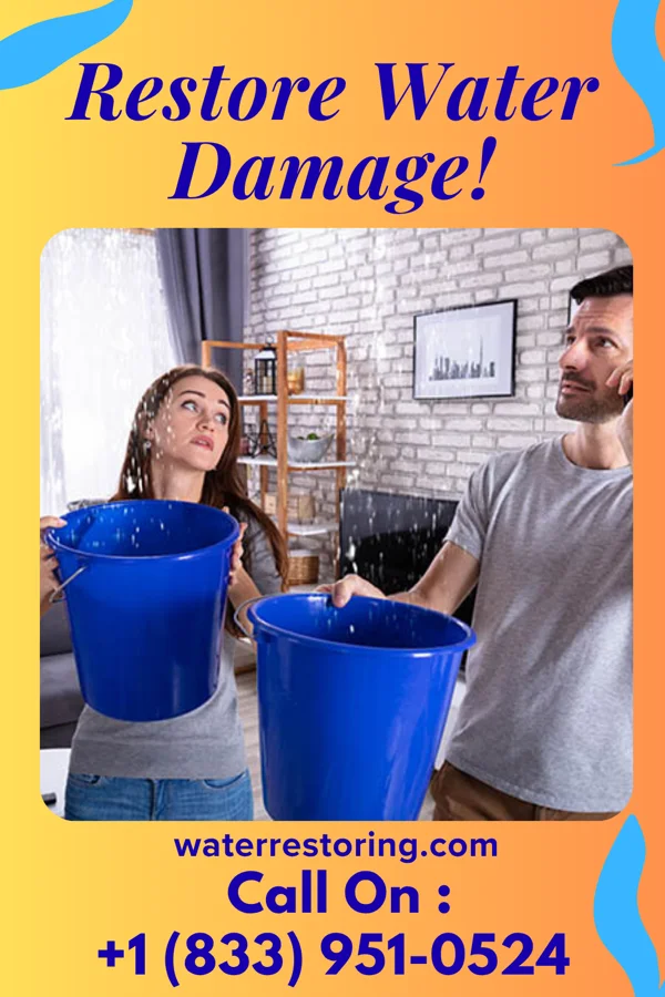 water restoration Eagle Flood Damage Inc Clinton