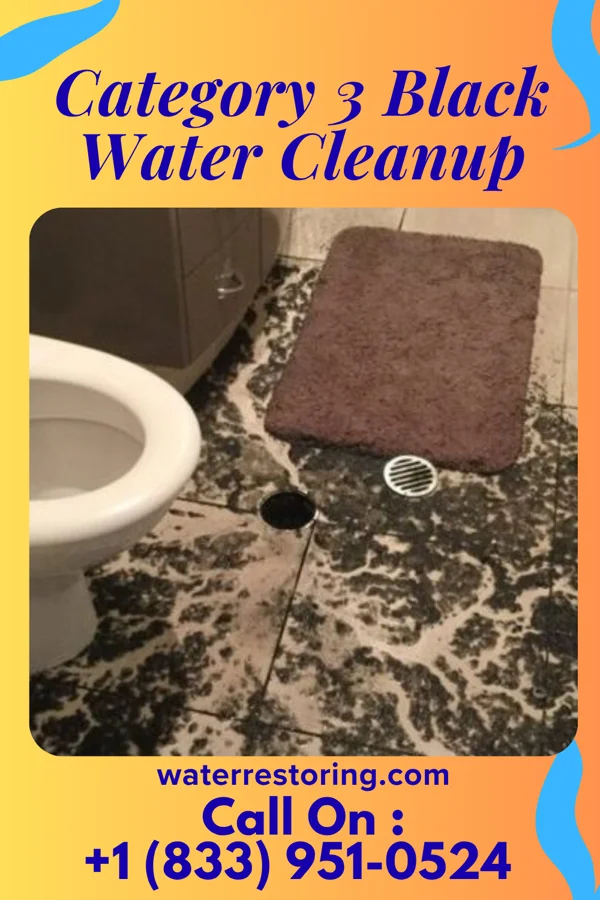 Category 3 Black Water Cleanup in Clinton, NC