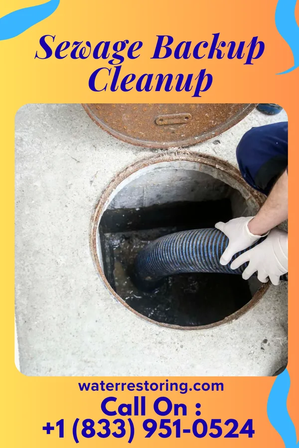 Sewage Backup Cleanup in Clinton, NC