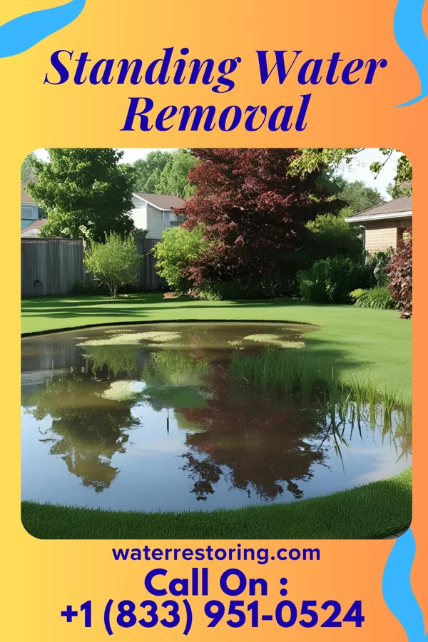 Standing Water Removal in Clinton, NC